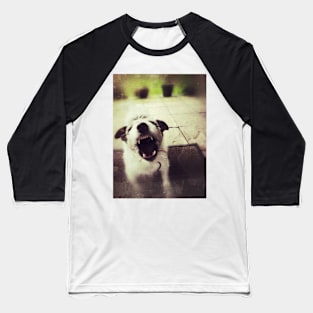 Angry Jack Russell Baseball T-Shirt